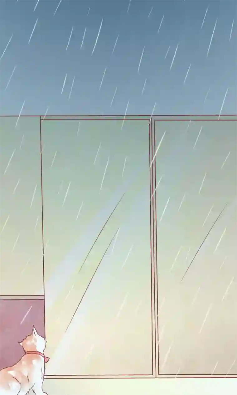 猫咪男友养成指南第1话 冷面工作狂