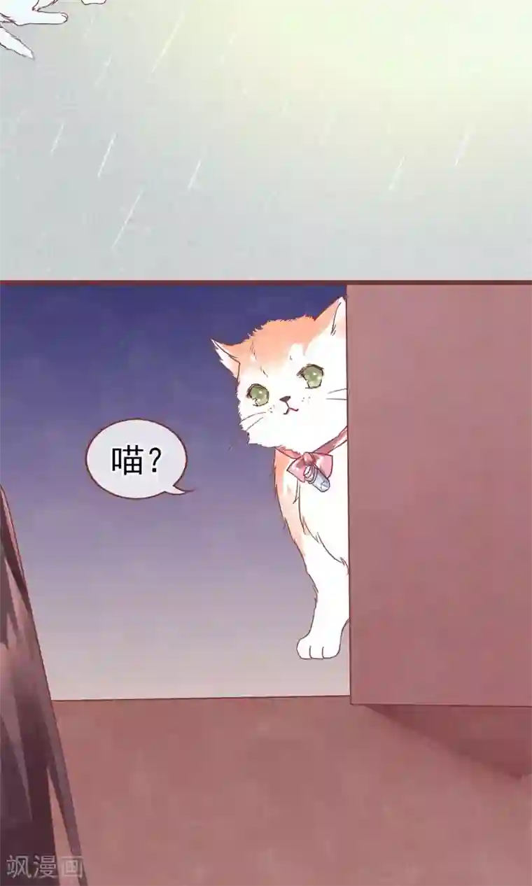 猫咪男友养成指南第1话 冷面工作狂