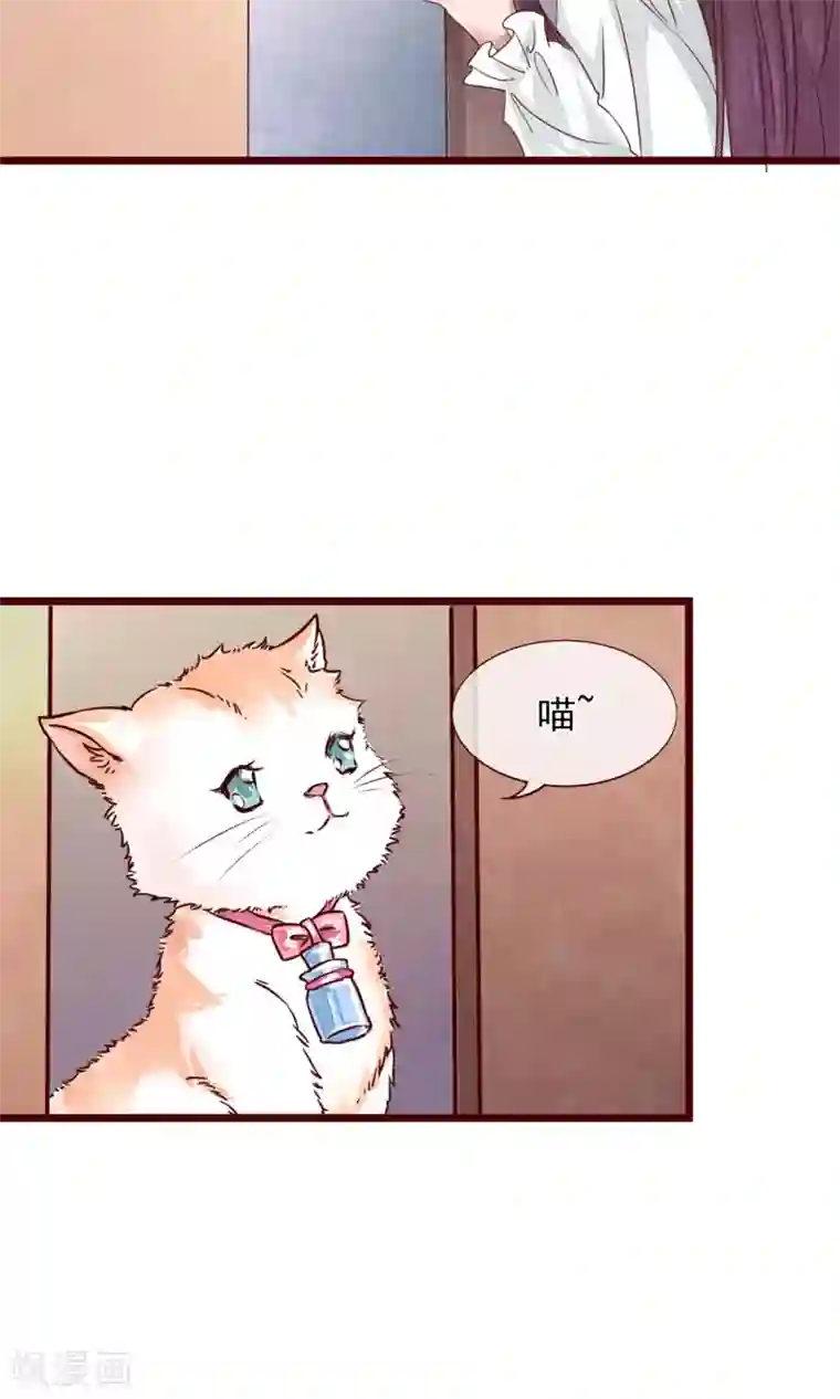 猫咪男友养成指南第2话 另一种遇见