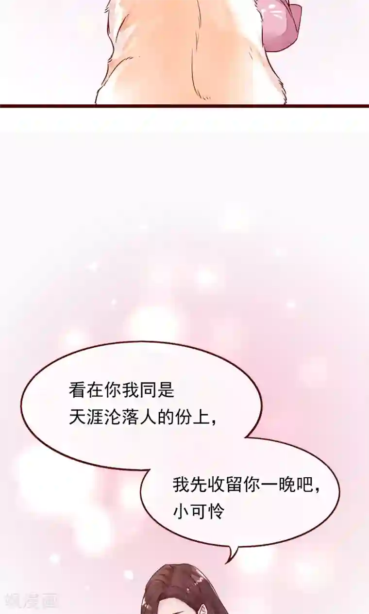 猫咪男友养成指南第2话 另一种遇见