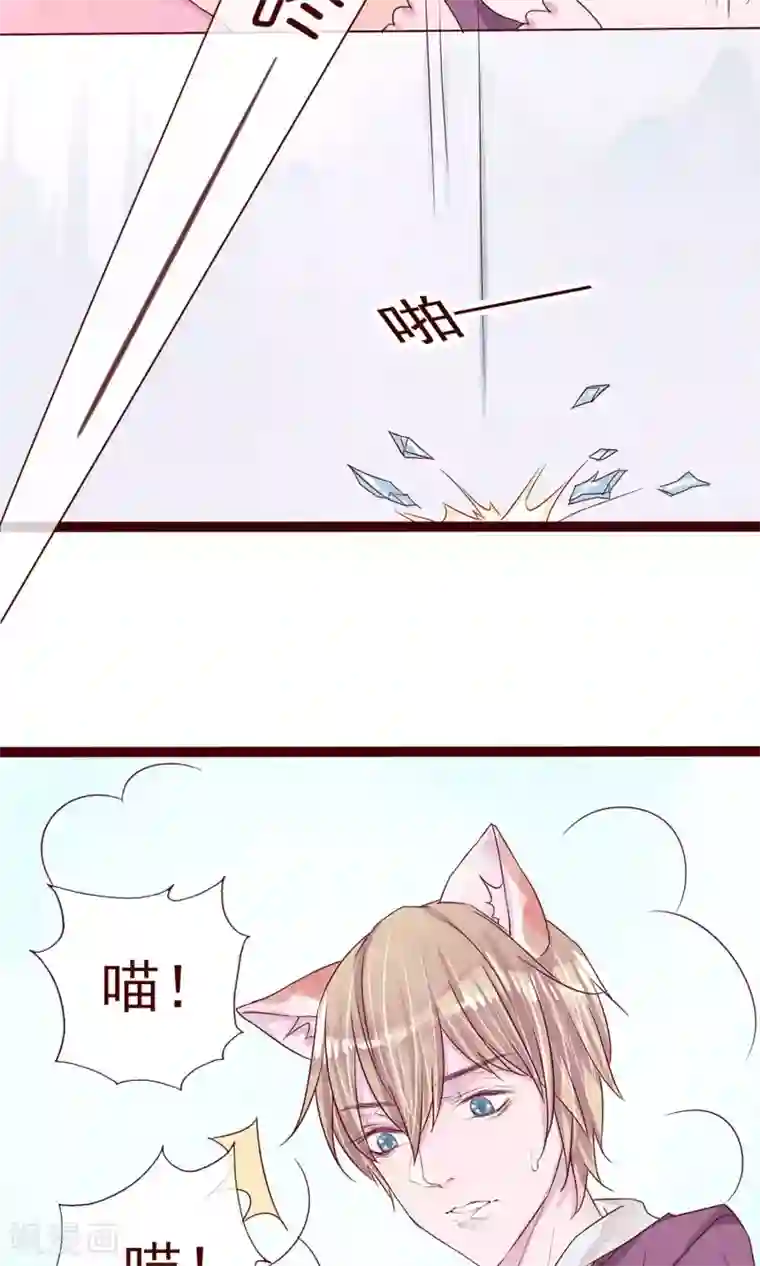 猫咪男友养成指南第6话 你是一个男人