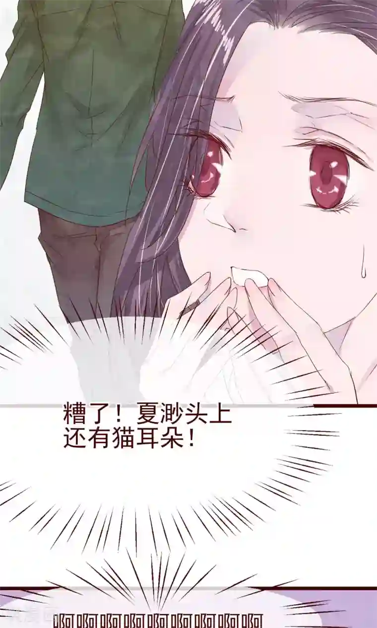 猫咪男友养成指南第7话 著名摄影师