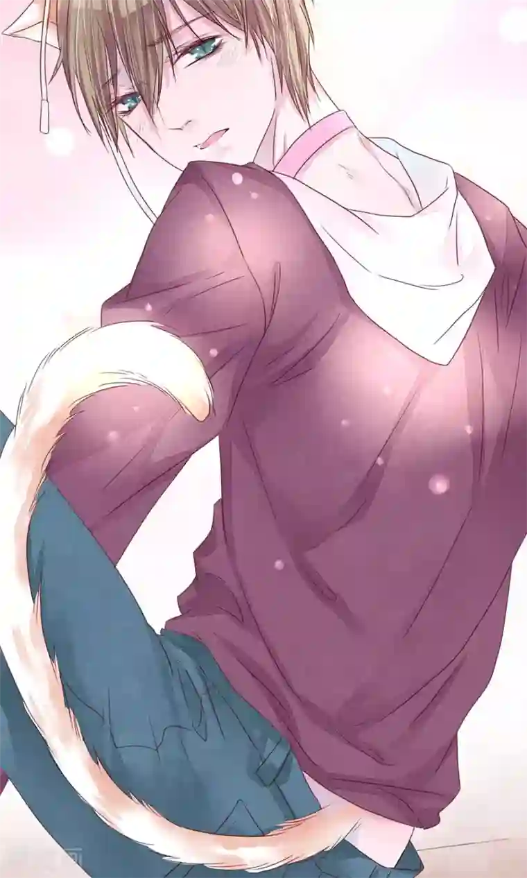 猫咪男友养成指南第10话 前男友上门