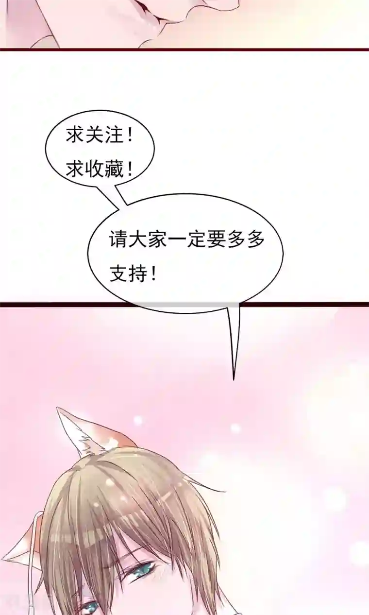 猫咪男友养成指南第17话 南音的世界