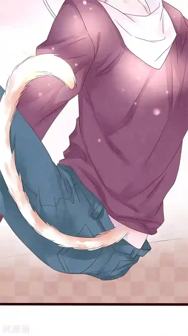 猫咪男友养成指南第28话 发情期到了