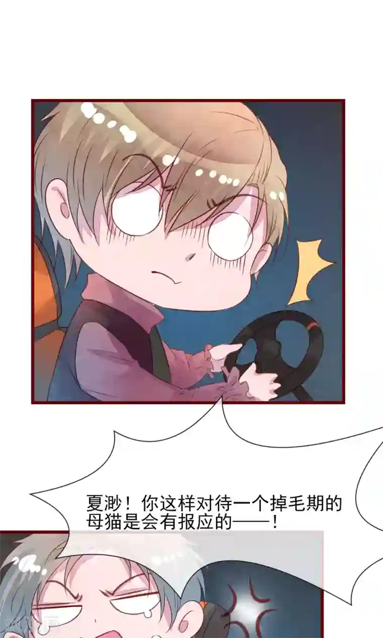 猫咪男友养成指南第29话 善待脱毛的母猫