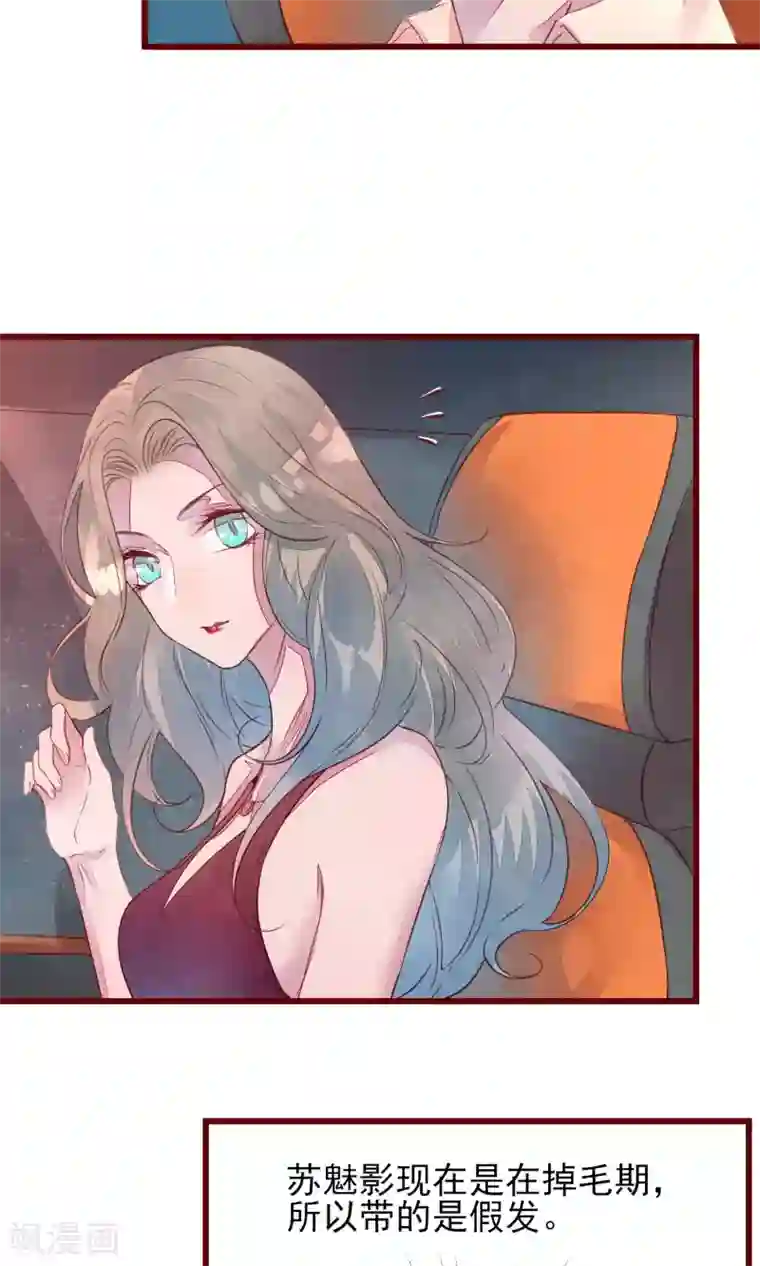 猫咪男友养成指南第29话 善待脱毛的母猫