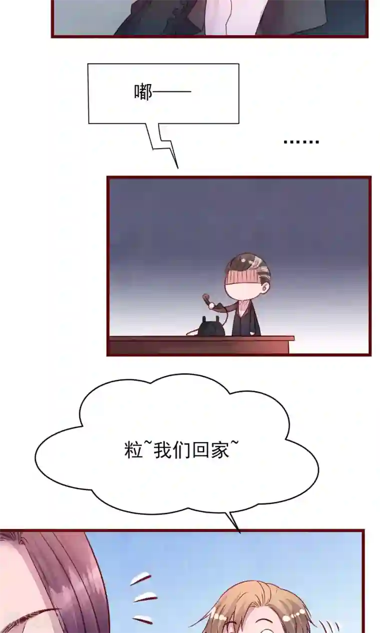猫咪男友养成指南第35话 找到你