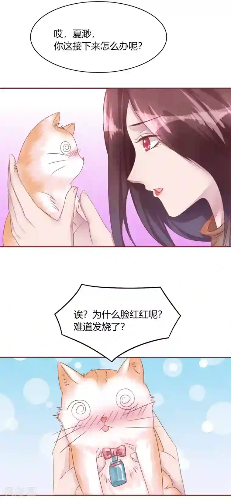 猫咪男友养成指南第48话 求姐姐帮助