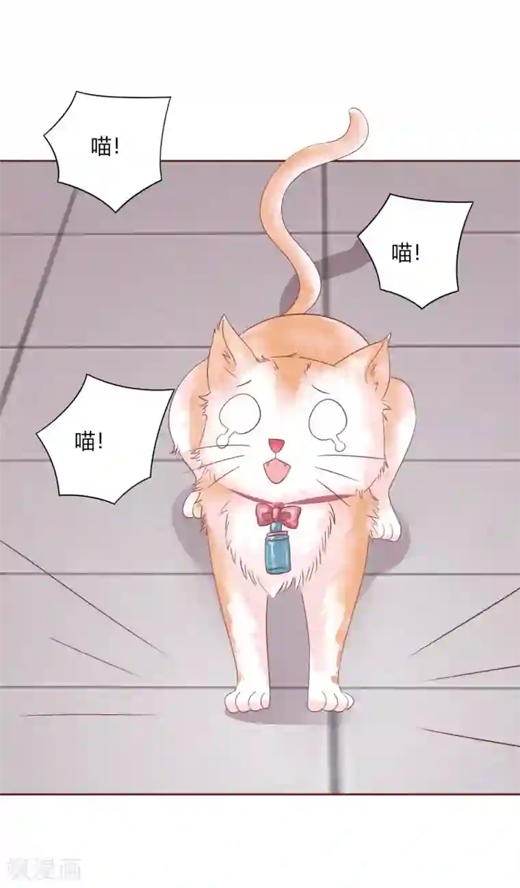 猫咪男友养成指南第48话 求姐姐帮助