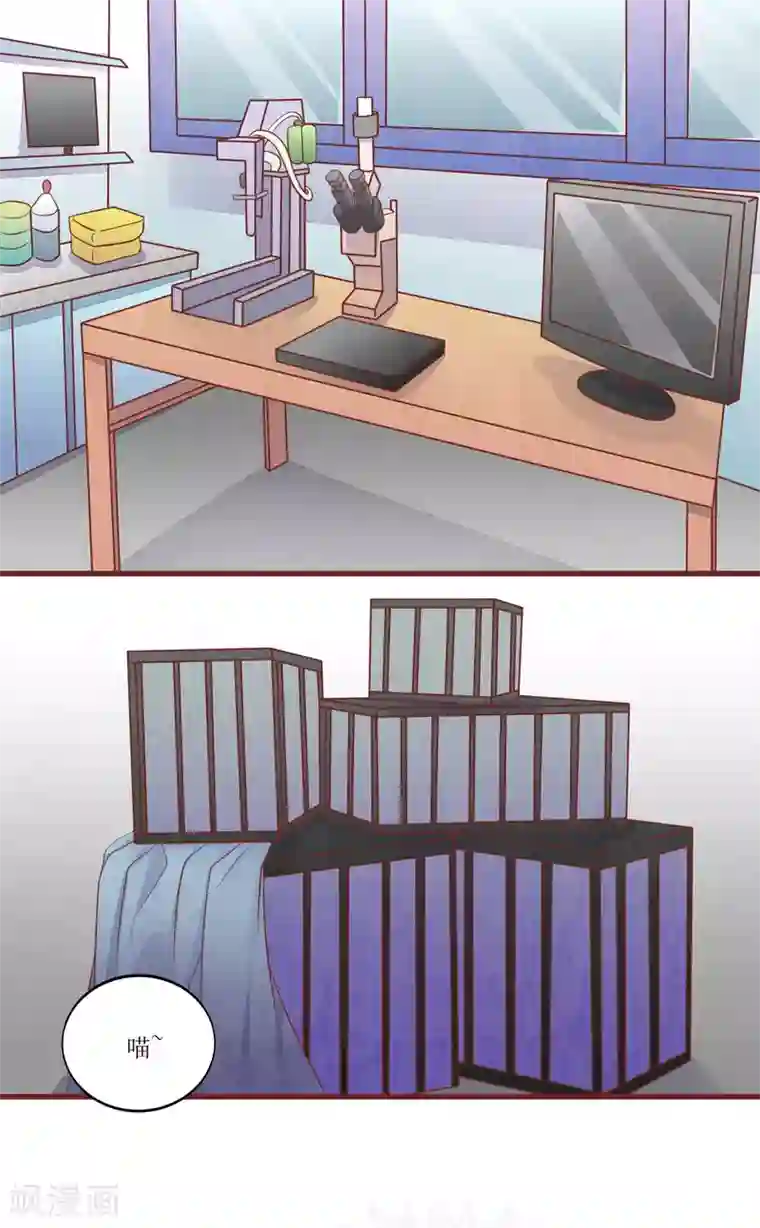 猫咪男友养成指南第50话 我死了吗