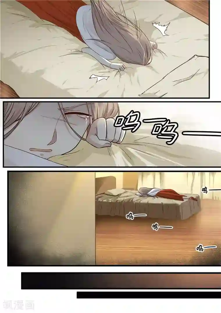 霸道总裁圈爱记第2话