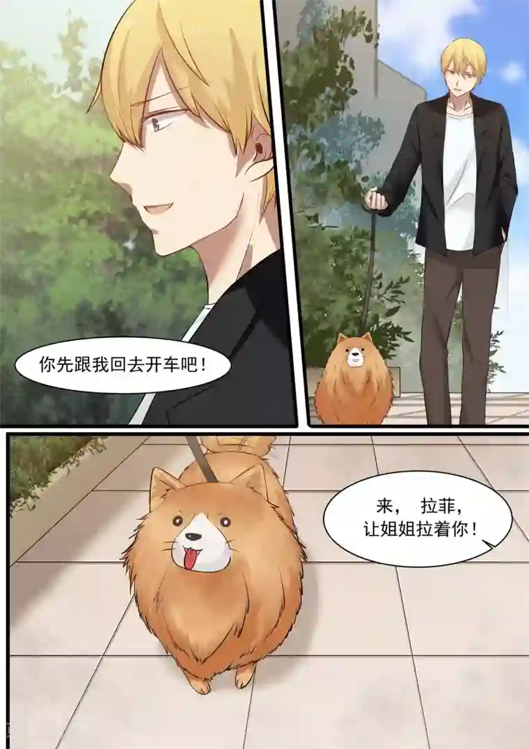 霸道总裁圈爱记第26话