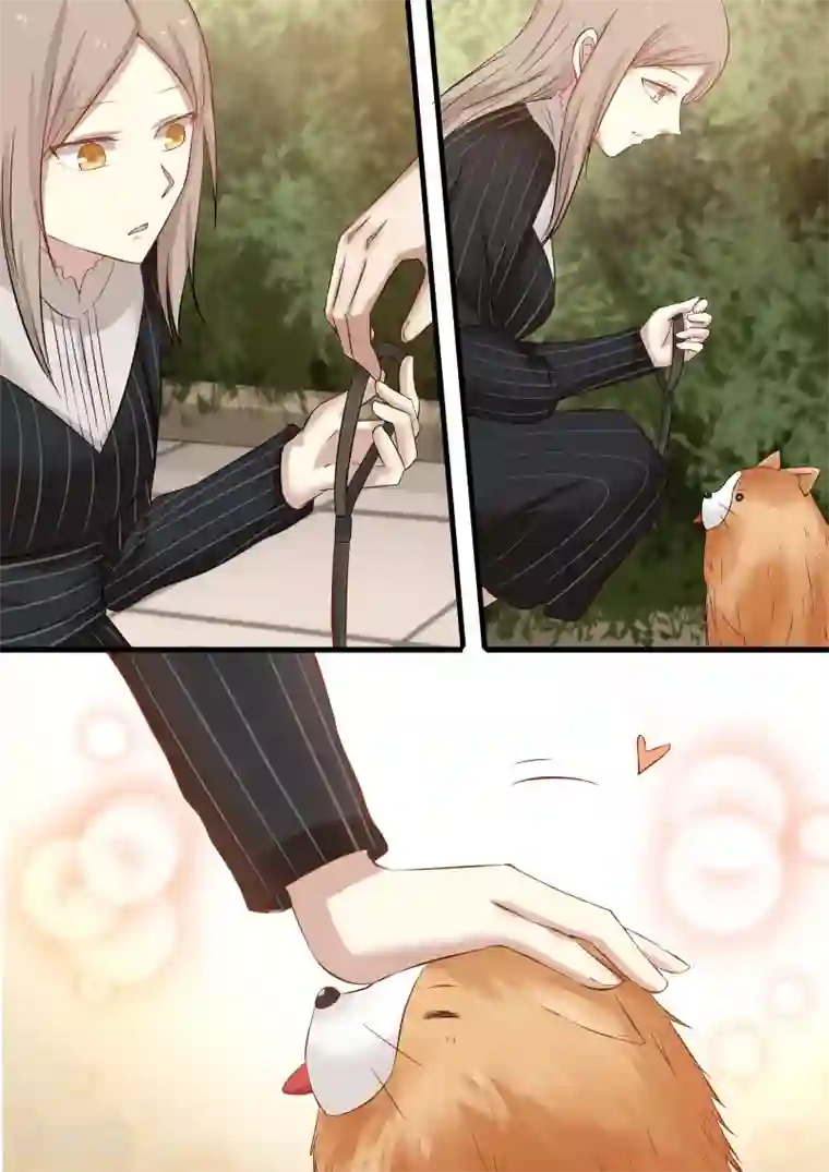 霸道总裁圈爱记第26话