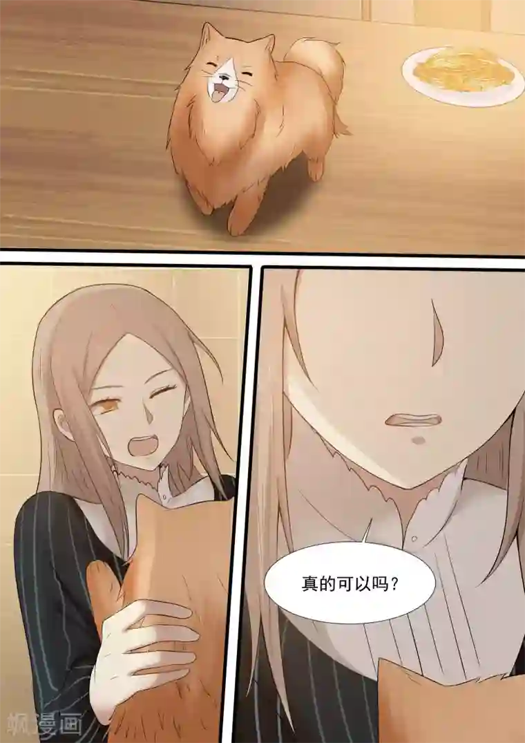 霸道总裁圈爱记第28话