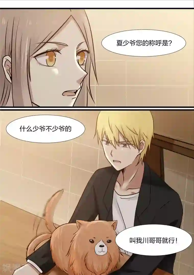 霸道总裁圈爱记第29话