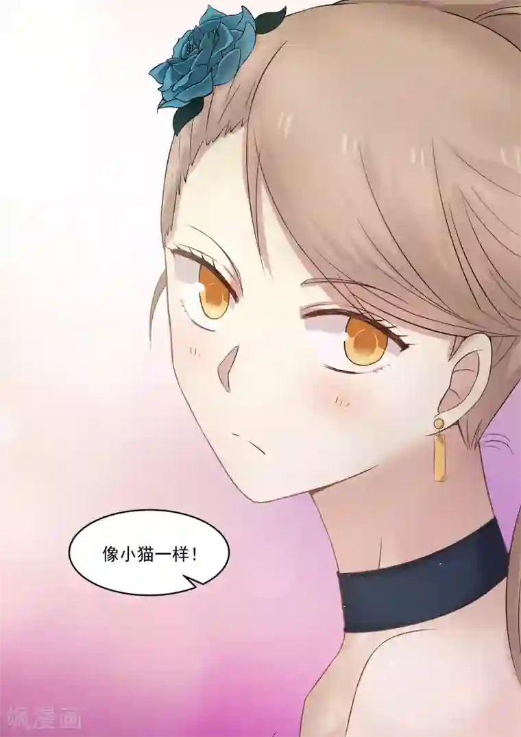 霸道总裁圈爱记第34话