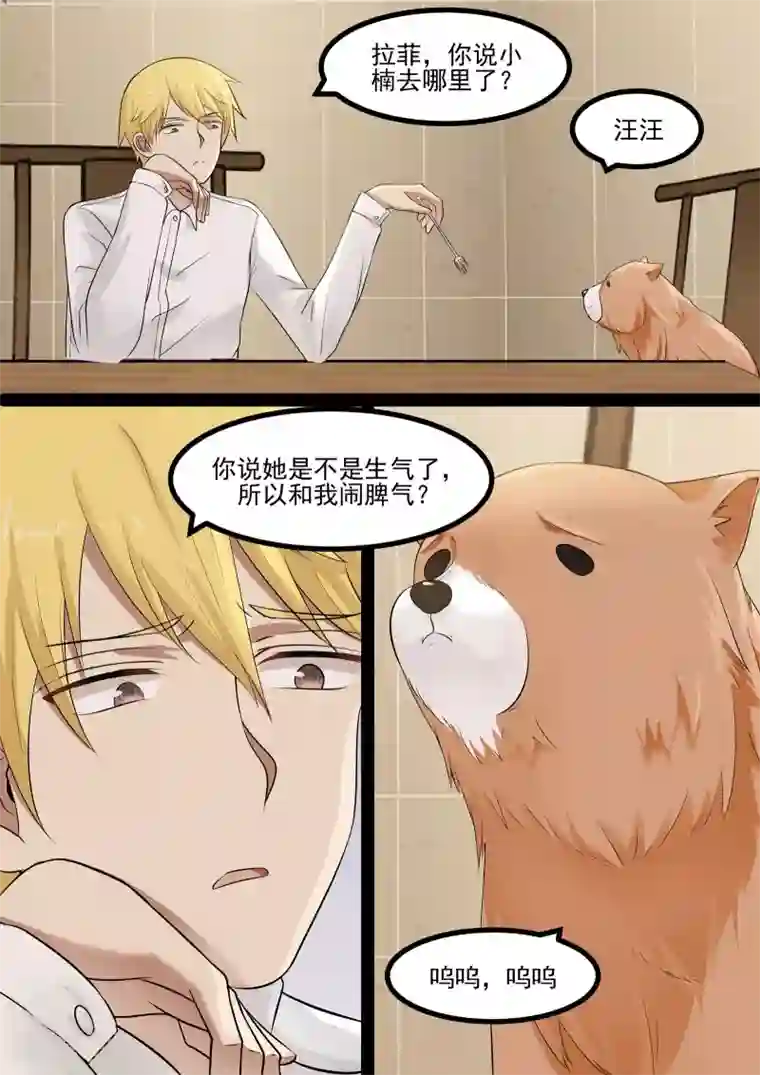 霸道总裁圈爱记第51话