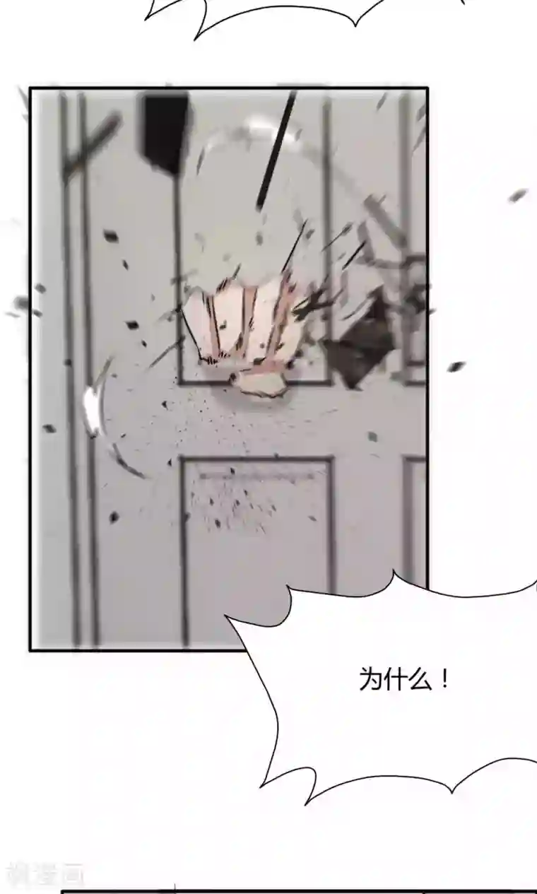 特工重生：前夫别找虐第44话 蓝雨夕的过去