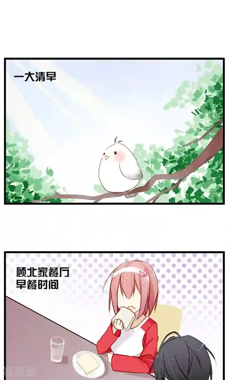 亲爱的明星男友第39话 凌小溪的老相识