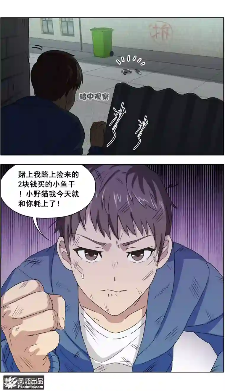 宠物天王第3话1 初遇幸运猫