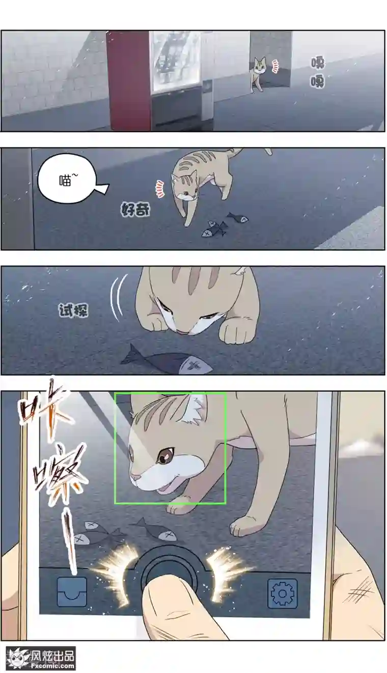 宠物天王第3话1 初遇幸运猫