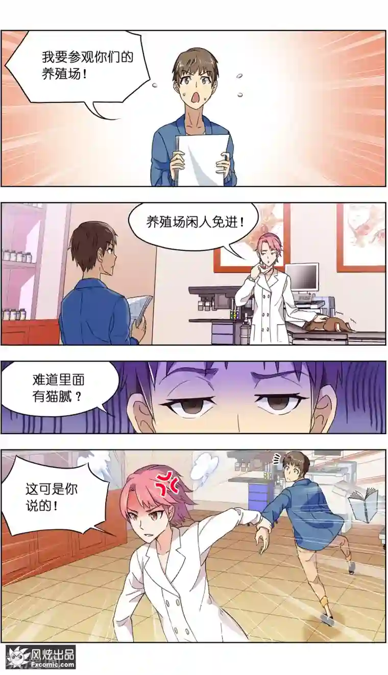 宠物天王第4话2 宠物之家