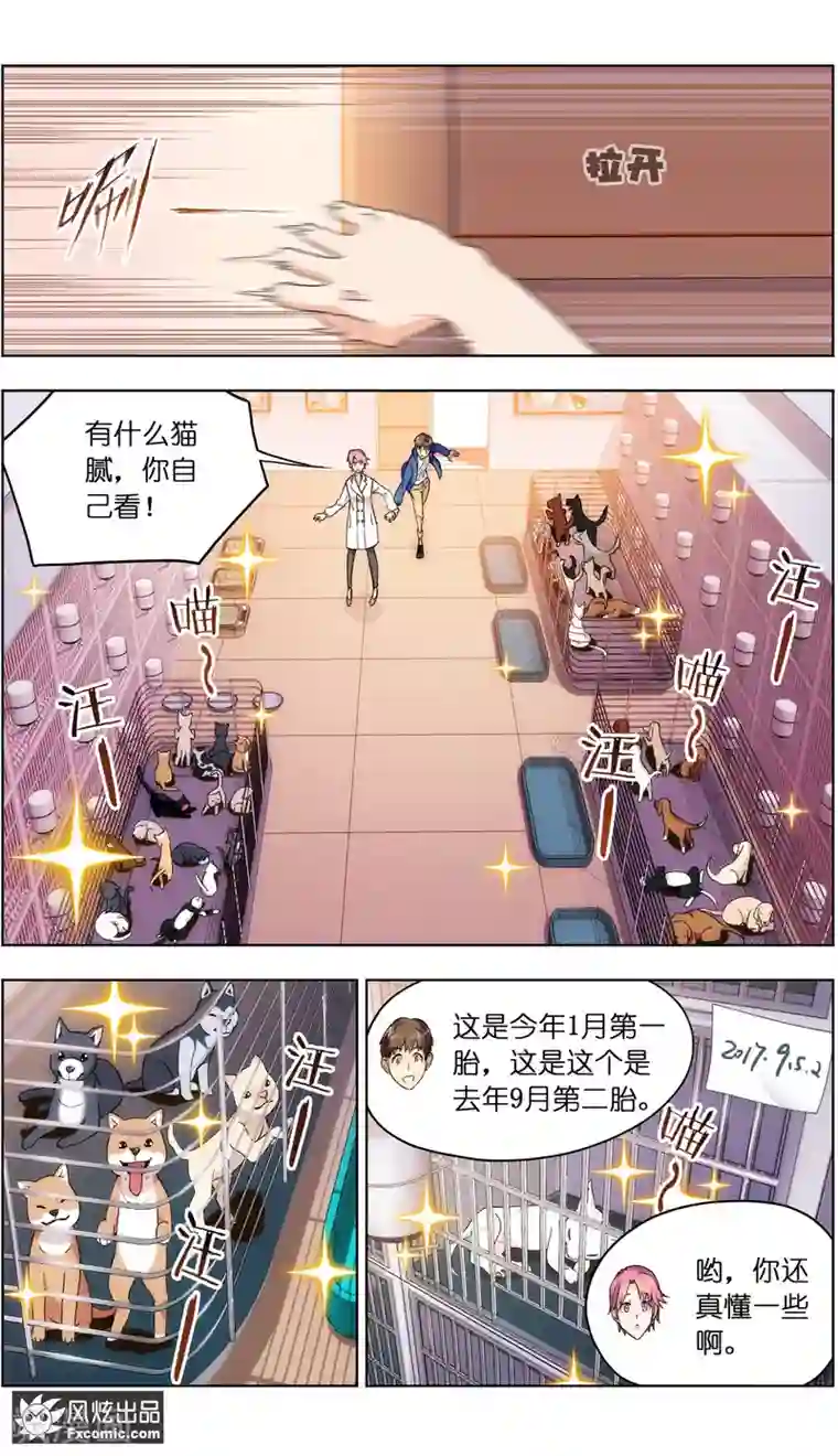 宠物天王第4话2 宠物之家