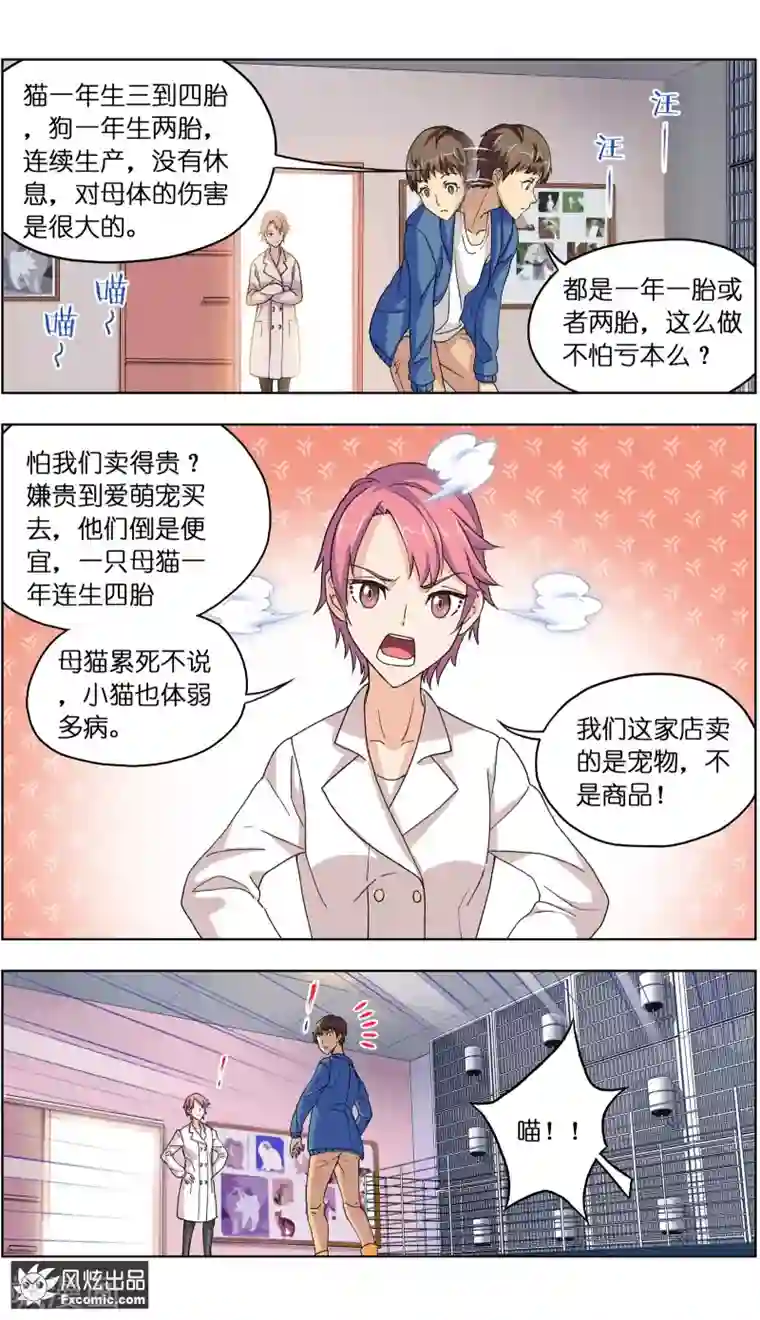 宠物天王第4话2 宠物之家