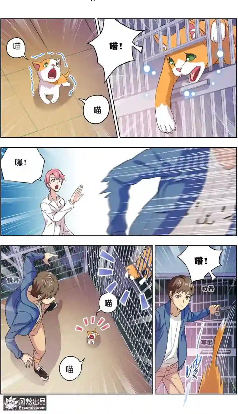 宠物天王第4话2 宠物之家