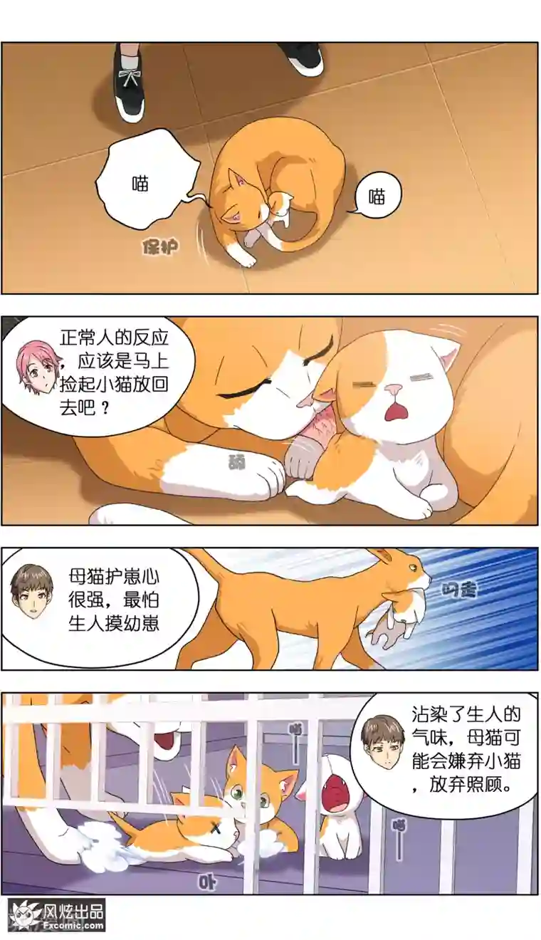 宠物天王第4话2 宠物之家