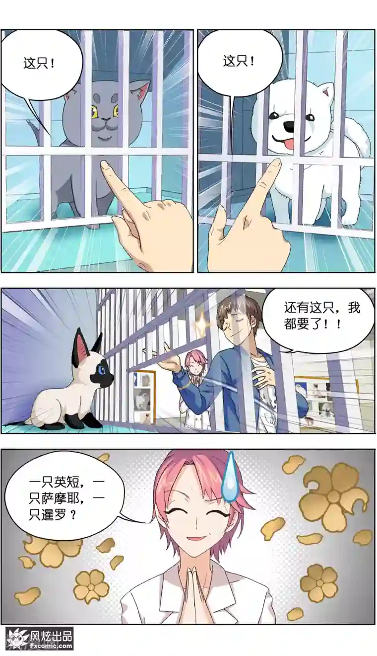 宠物天王第4话2 宠物之家