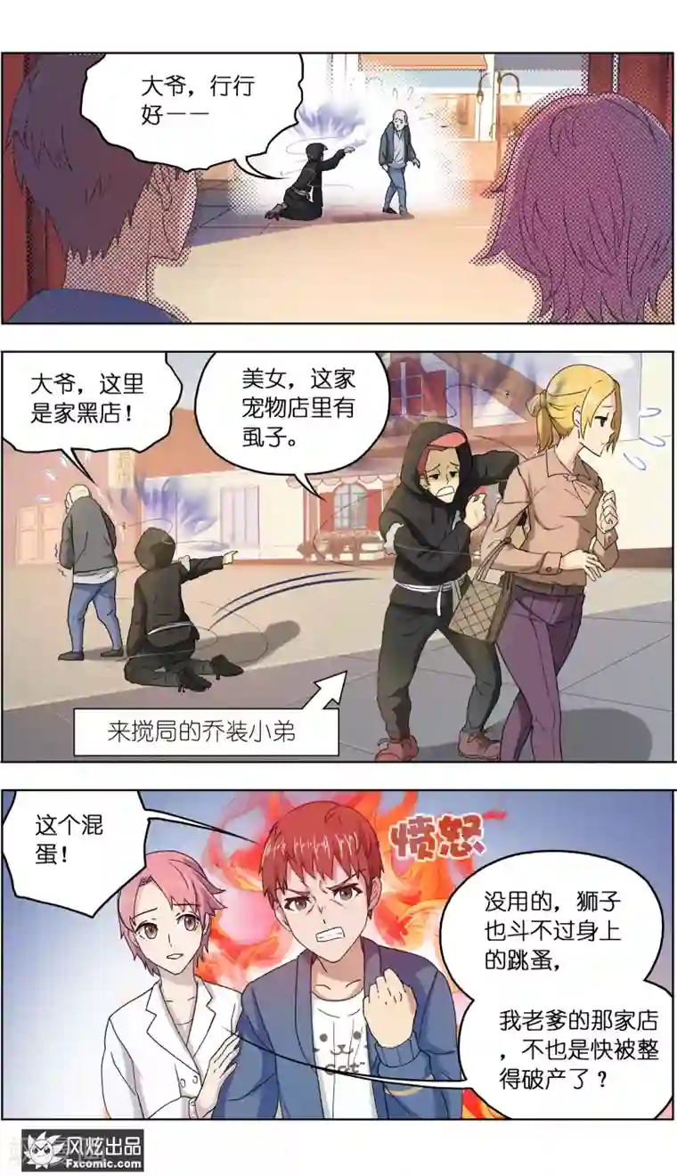 宠物天王第5话2 大一点儿的名字