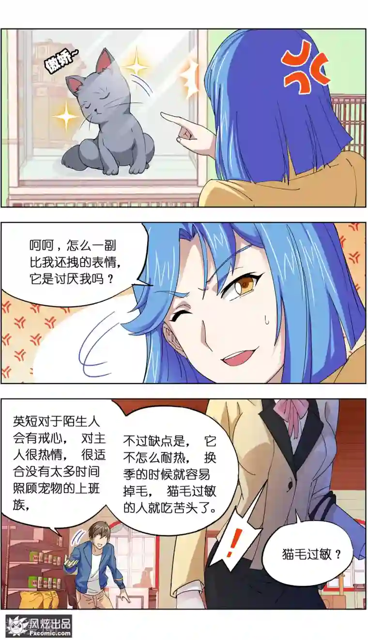 宠物天王第6话1 美女你好