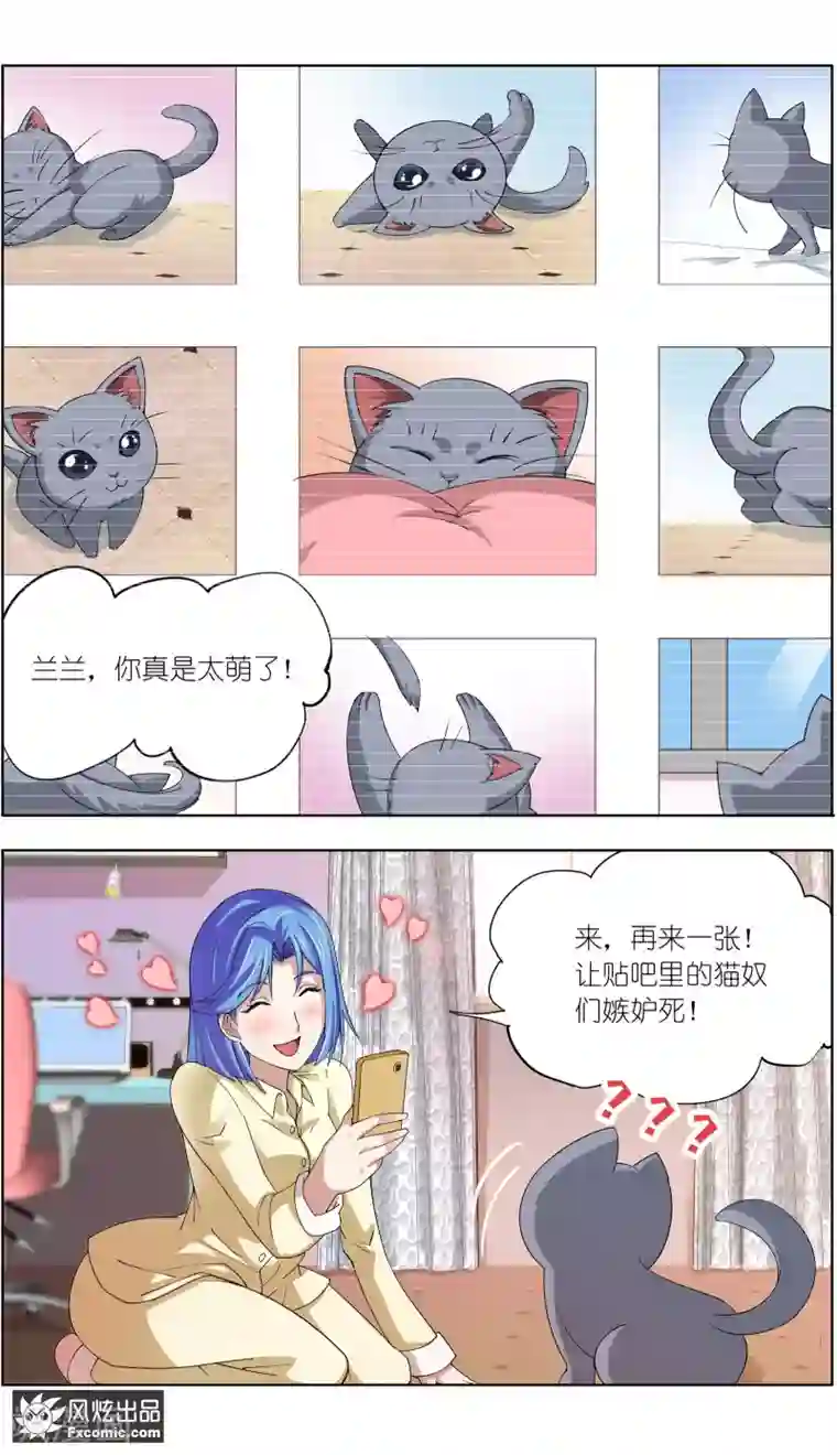 宠物天王第7话1 薛定谔的猫