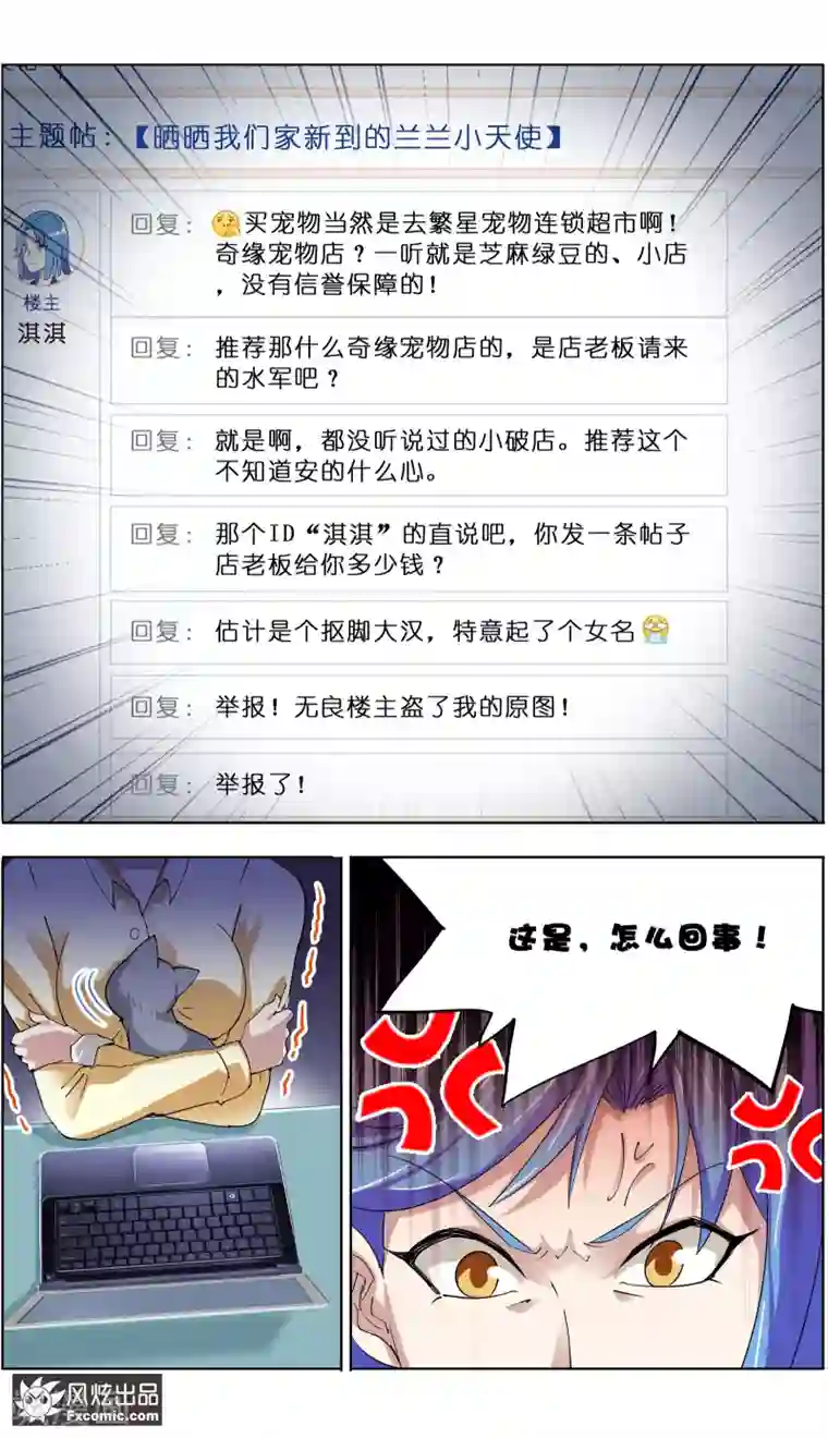 宠物天王第7话1 薛定谔的猫