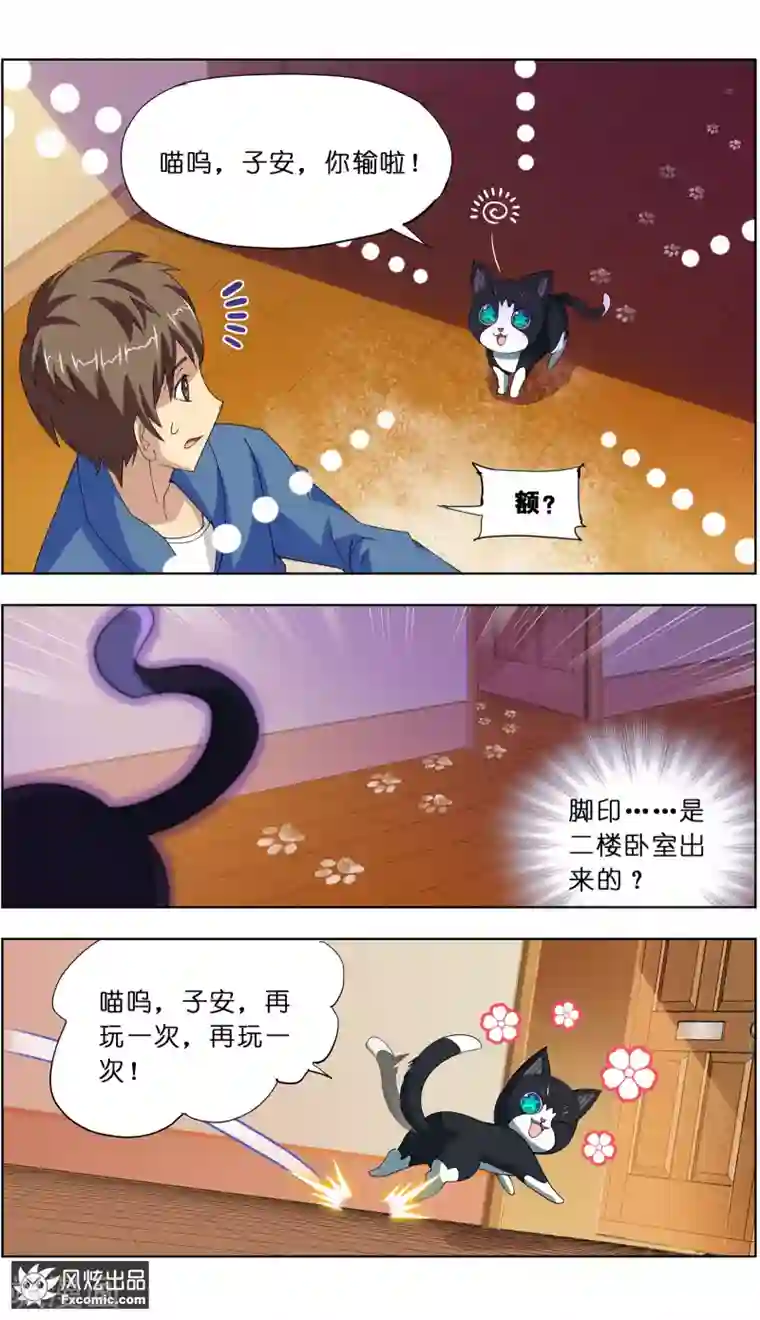 宠物天王第7话1 薛定谔的猫