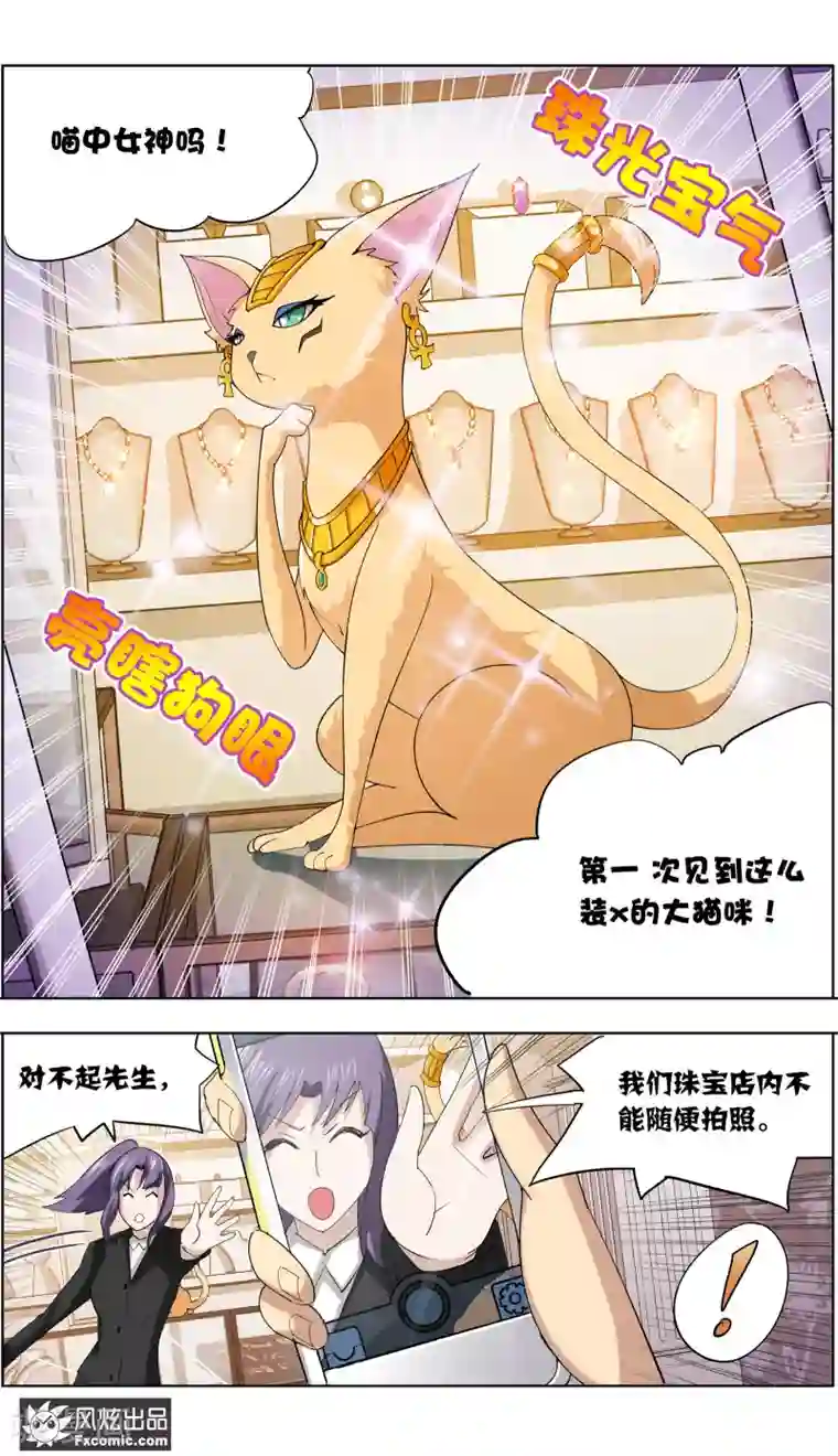 宠物天王第8话2 幸运猫的真相上