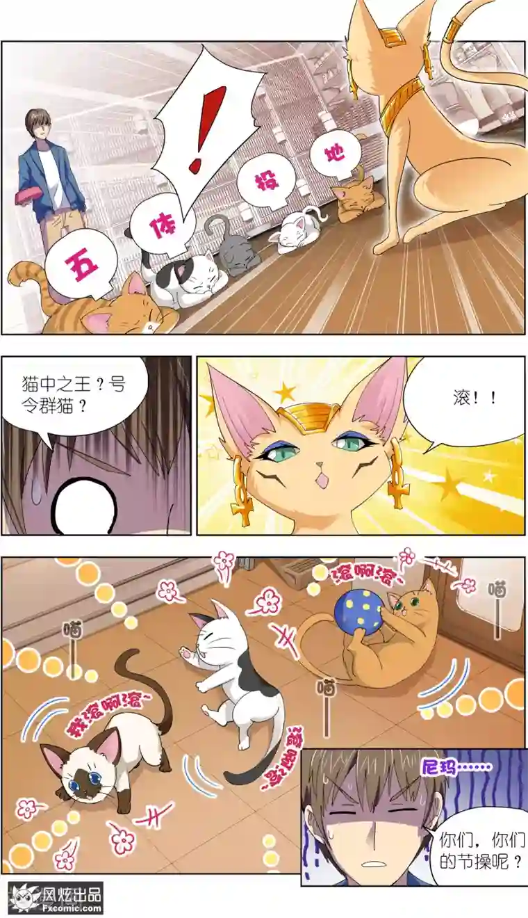 宠物天王第9话2 幸运猫的真相下