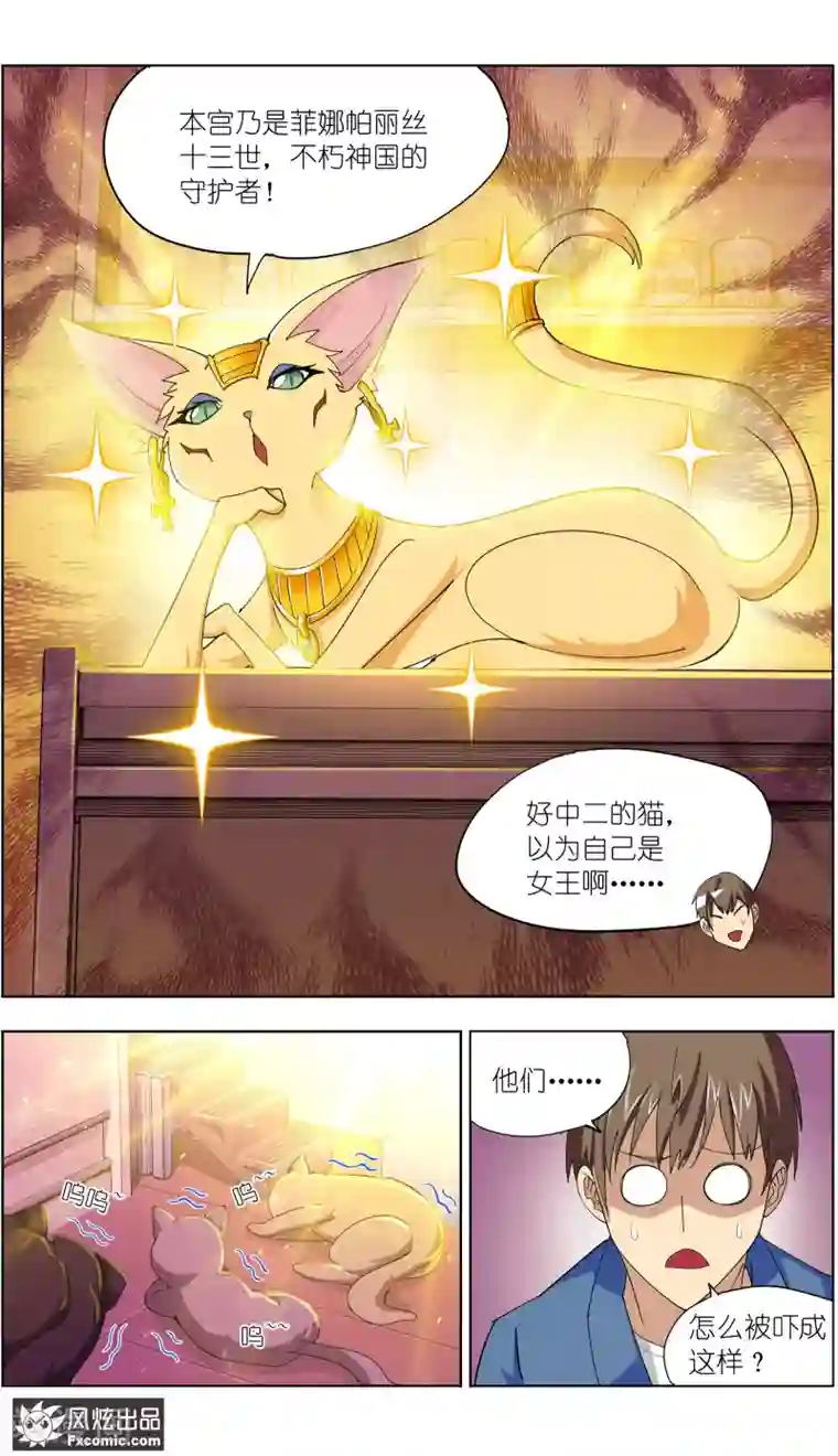 宠物天王第9话2 幸运猫的真相下