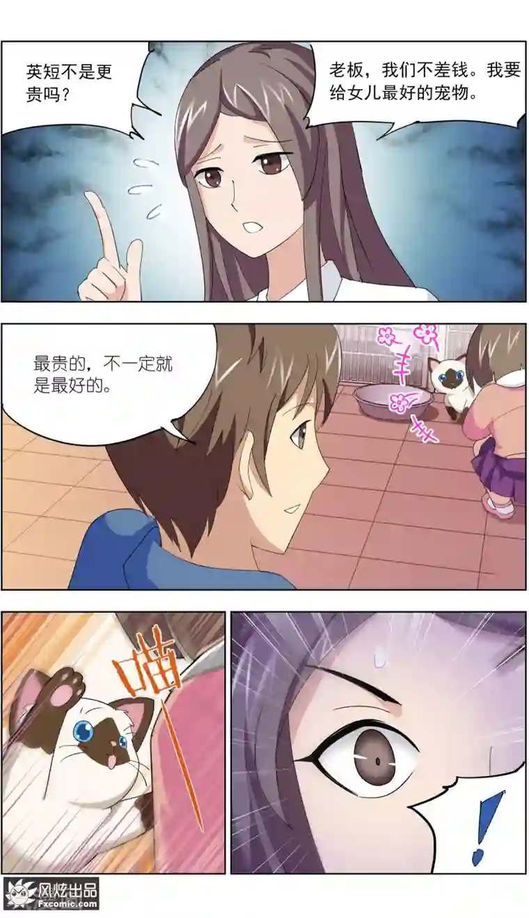 宠物天王第11话1 招财猫驾到下