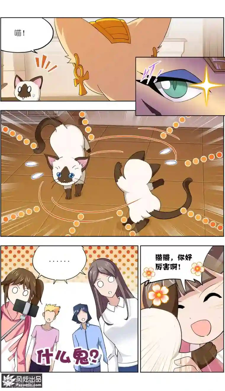 宠物天王第11话1 招财猫驾到下