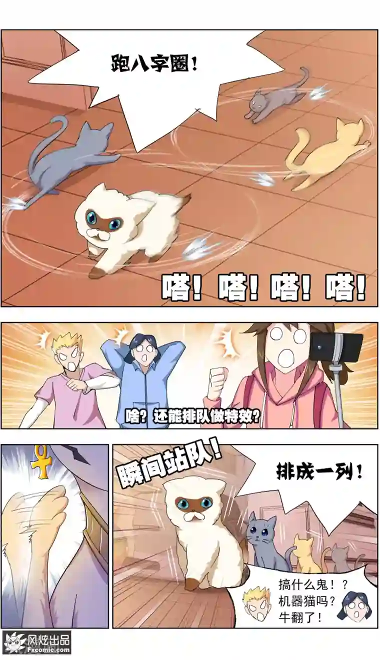 宠物天王第11话2 招财猫驾到下