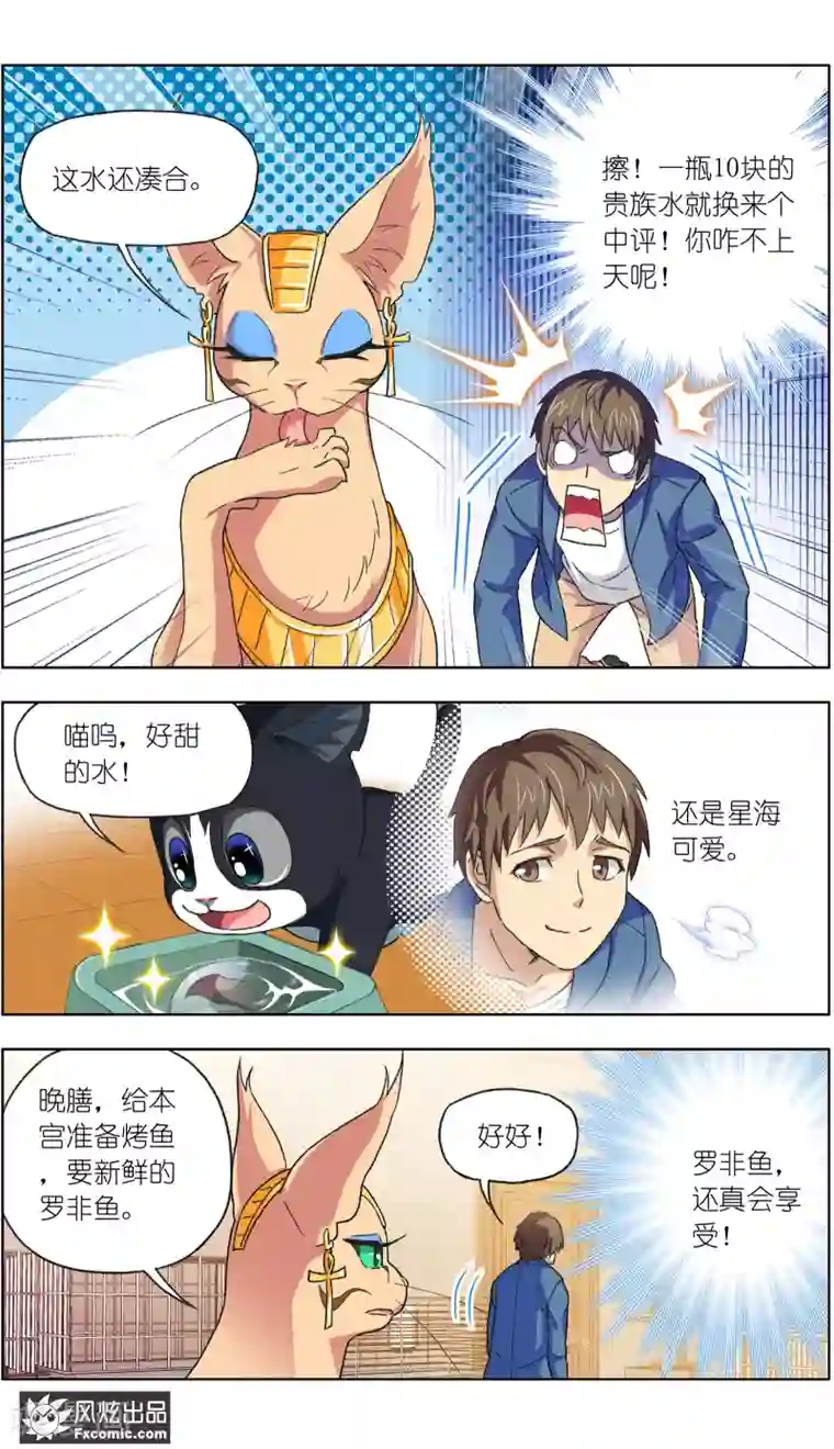 宠物天王第12话2 人不如猫