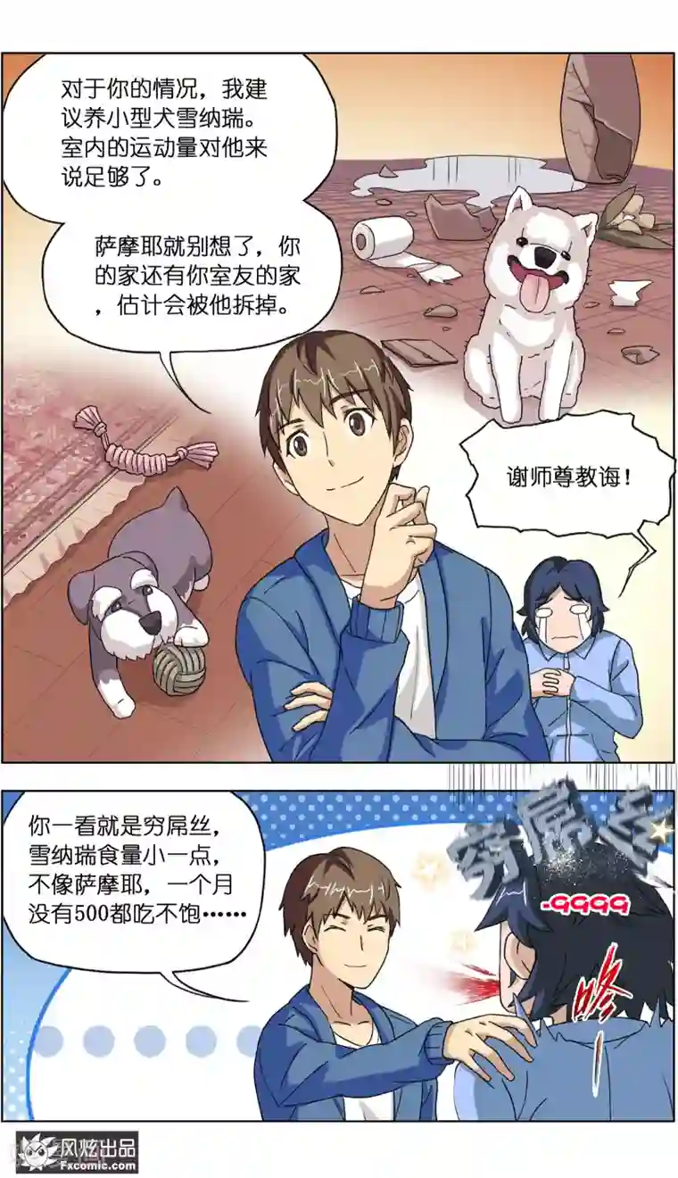 宠物天王第12话2 人不如猫