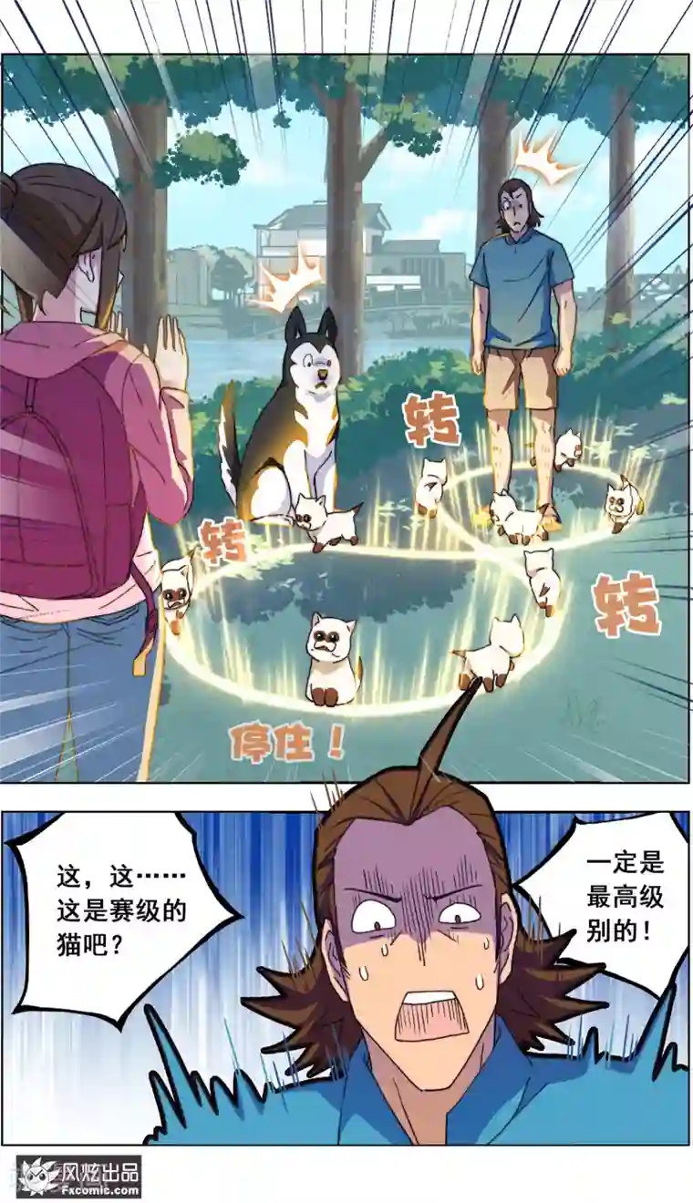 宠物天王第13话1 土豪的珍宝