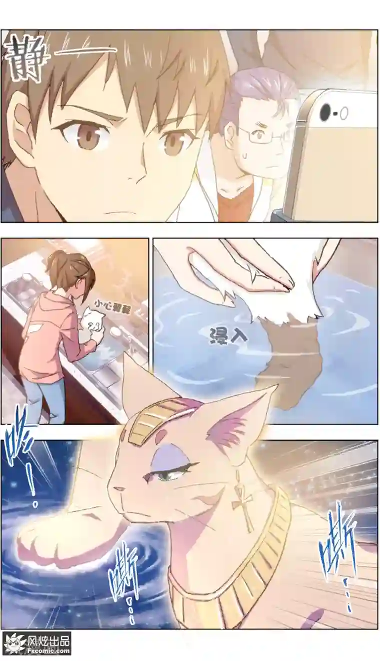 宠物天王第19话3 二刷宠物店