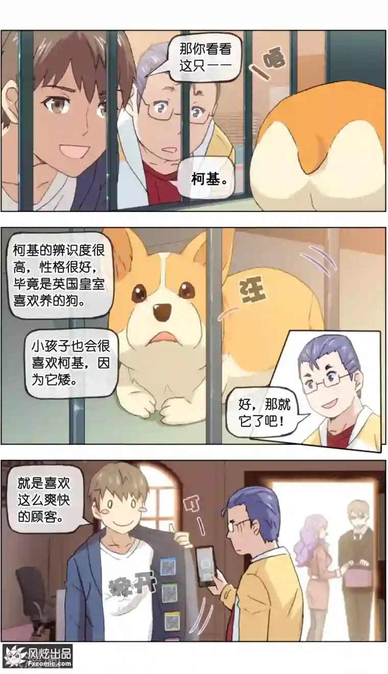 宠物天王第19话4 二刷宠物店