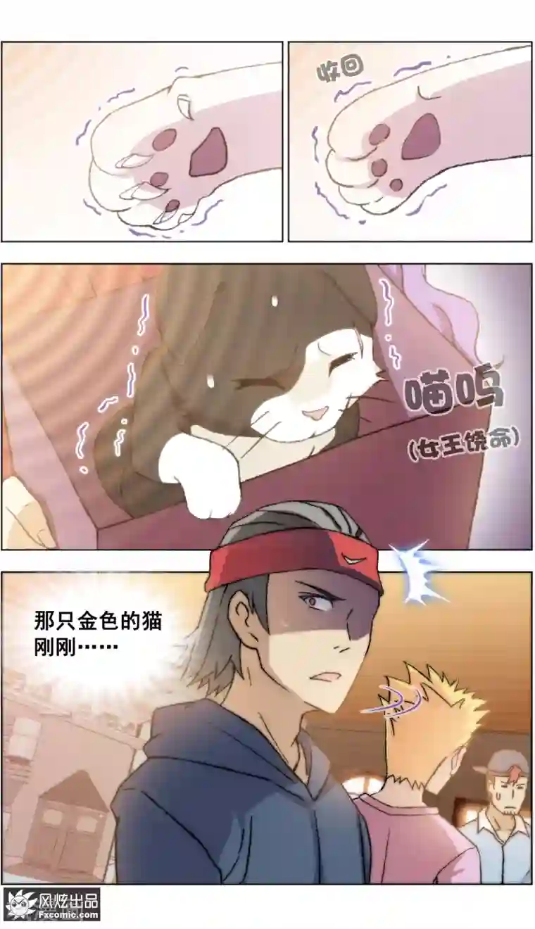 宠物天王第19话4 二刷宠物店