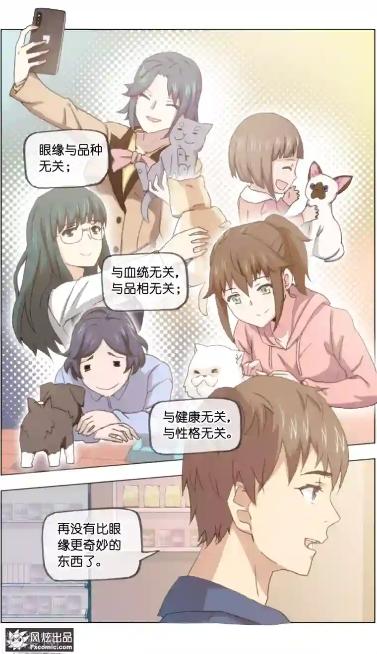 宠物天王第20话1 不朽神国的守护者